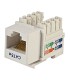 کیستون Cat5e UTP کی نت K-N1081