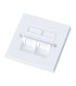 فیس پلیت دو پورت 45 درجه کی نت K-N1127