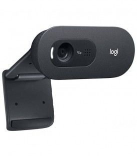 وب کم لاجیتک C505E HD