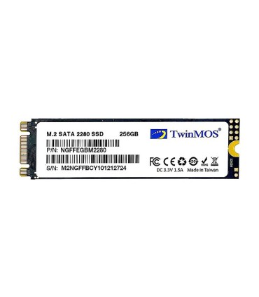اس اس دی توین موس NGFFEGBM2280 M.2 ظرفیت 256 گیگابایت