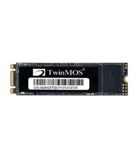 اس اس دی توین موس NGFFEGBM2280 M.2 ظرفیت 256 گیگابایت