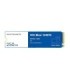 اس اس دی وسترن دیجیتال Blue SN570 M.2 ظرفیت 250 گیگابایت