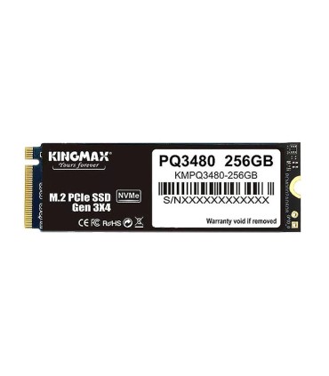 اس اس دی کینگ مکس PQ3480 M.2 ظرفیت 256 گیگابایت