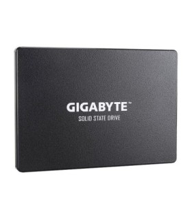 اس اس دی گیگابایت GP-GSTFS31120GNTD ظرفیت 120 گیگابایت