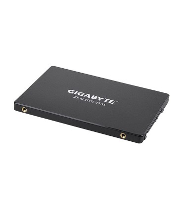 اس اس دی گیگابایت GP-GSTFS31120GNTD ظرفیت 120 گیگابایت