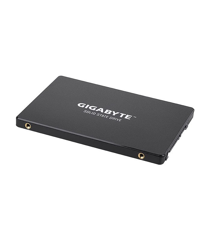 اس اس دی گیگابایت GP-GSTFS31120GNTD ظرفیت 120 گیگابایت