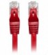 پچ کورد UTP Cat5e کی نت