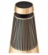 اسپیکر بلوتوث بنگ اند آلفسن Beosound 2