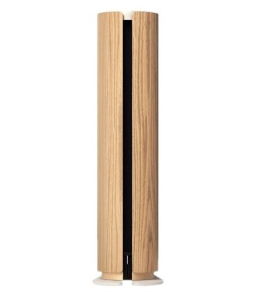 اسپیکر بلوتوث بنگ اند آلفسن Beosound Emerge