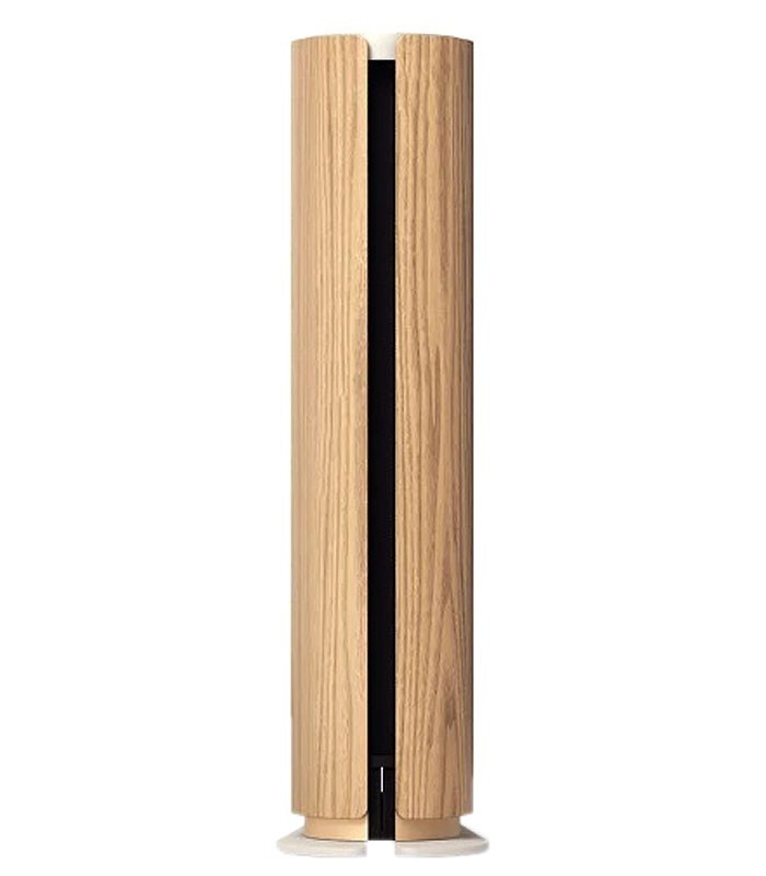 اسپیکر بلوتوث بنگ اند آلفسن Beosound Emerge