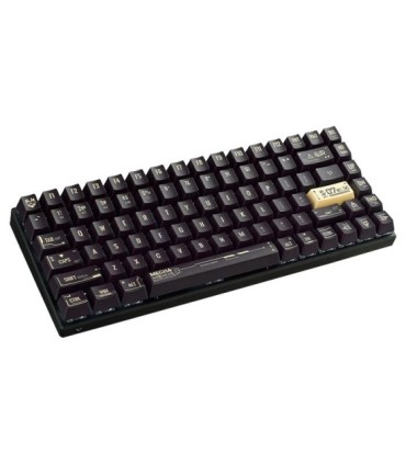 کیبورد بی سیم گیمینگ رپو V700-8A