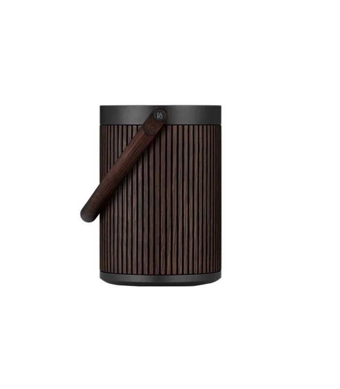 اسپیکر بلوتوث بنگ اند آلفسن Beosound A5