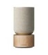 اسپیکر بلوتوث بنگ اند آلفسن Beosound Balance